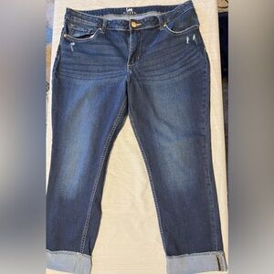 Size 16 Lee Riders Women's Blue Jeans